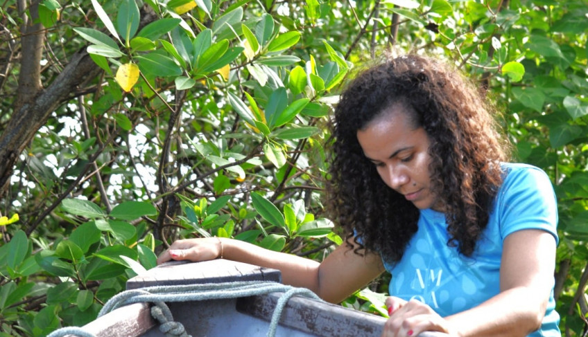 ASN Alagoas - Agência Sebrae de Notícias