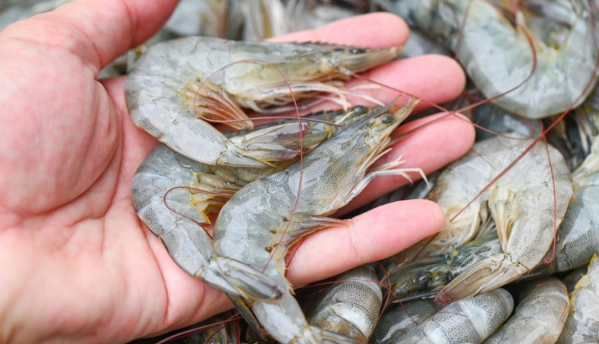 ASN Alagoas - Agência Sebrae de Notícias