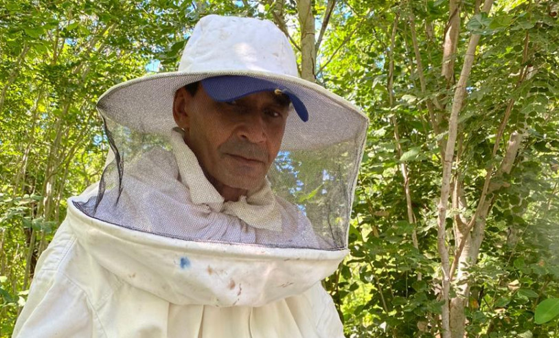 ASN Alagoas - Agência Sebrae de Notícias