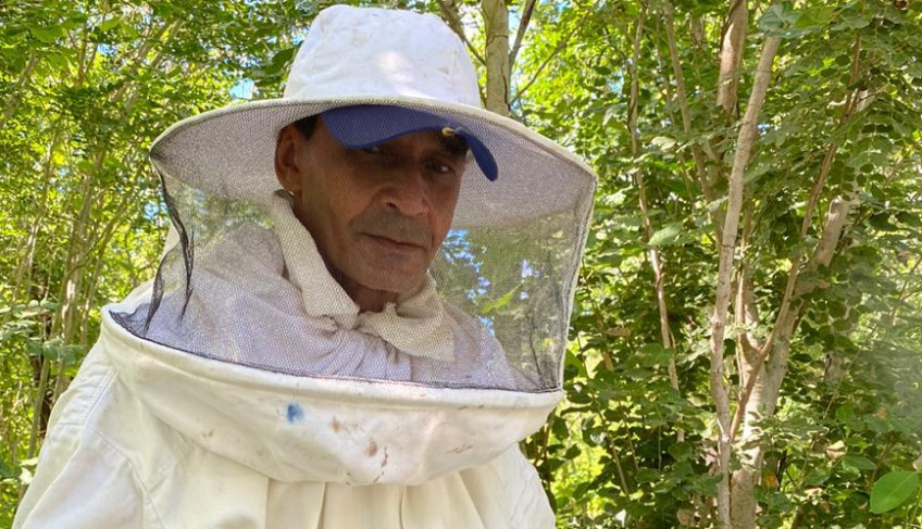 ASN Alagoas - Agência Sebrae de Notícias