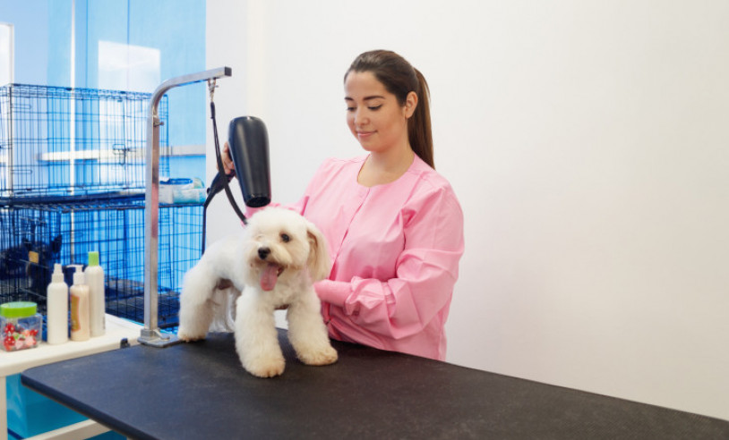 ASN Alagoas - Agência Sebrae de Notícias