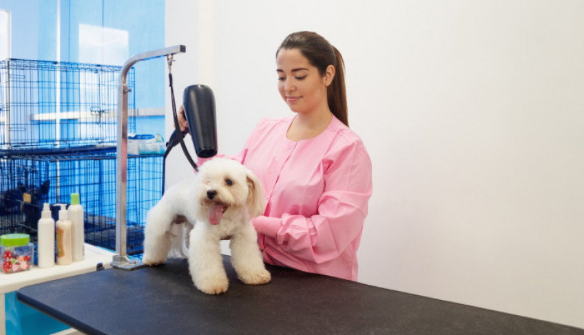 ASN Alagoas - Agência Sebrae de Notícias