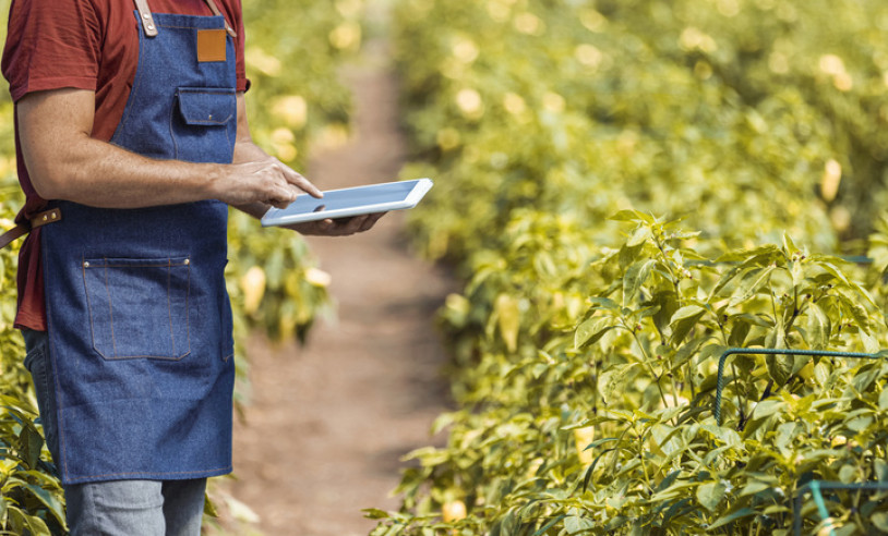 ASN Alagoas - Agência Sebrae de Notícias