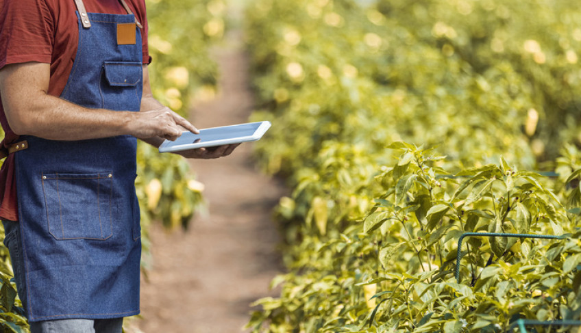 ASN Alagoas - Agência Sebrae de Notícias