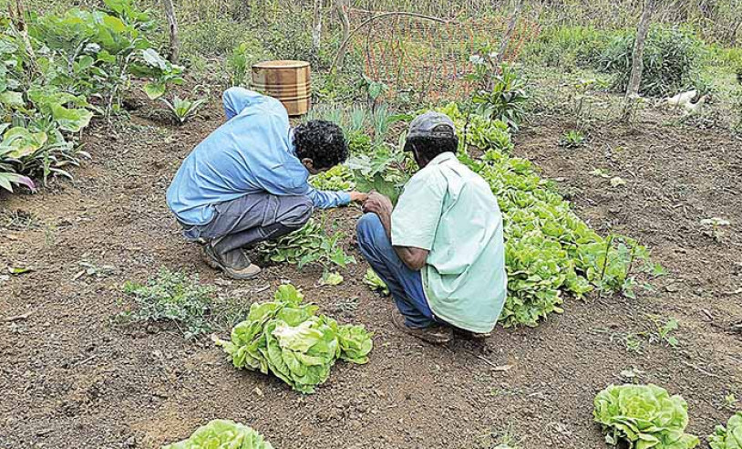 ASN Alagoas - Agência Sebrae de Notícias