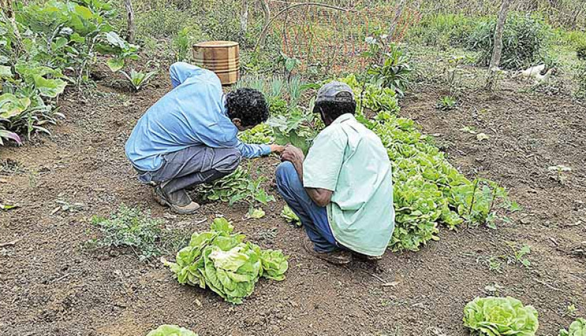 ASN Alagoas - Agência Sebrae de Notícias
