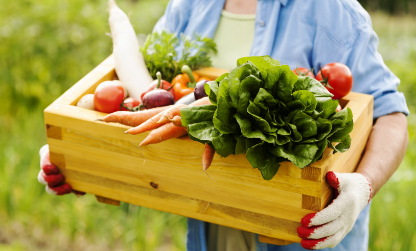 ASN Alagoas - Agência Sebrae de Notícias