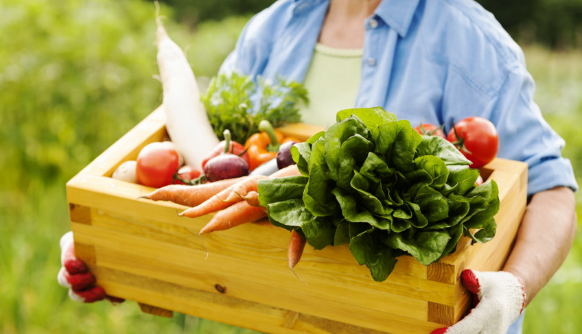 ASN Alagoas - Agência Sebrae de Notícias