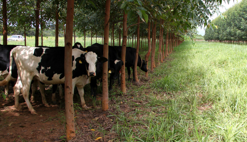 ASN Alagoas - Agência Sebrae de Notícias