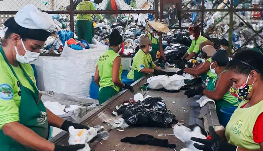 ASN Alagoas - Agência Sebrae de Notícias