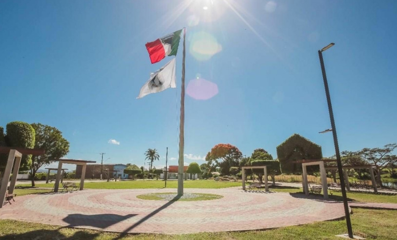 ASN Alagoas - Agência Sebrae de Notícias