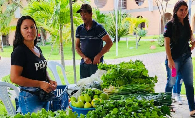 ASN Alagoas - Agência Sebrae de Notícias
