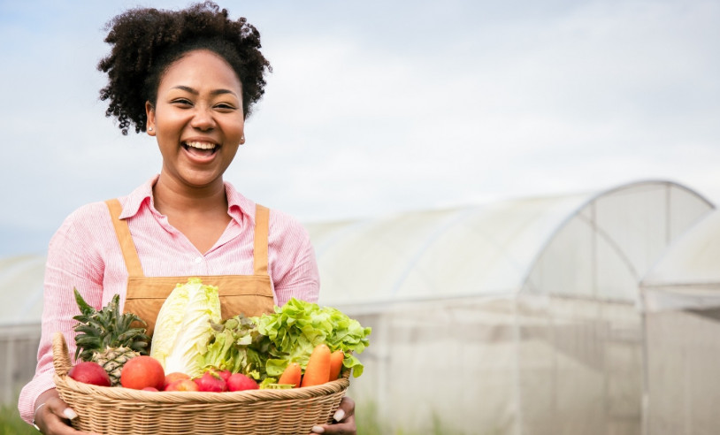 ASN Alagoas - Agência Sebrae de Notícias
