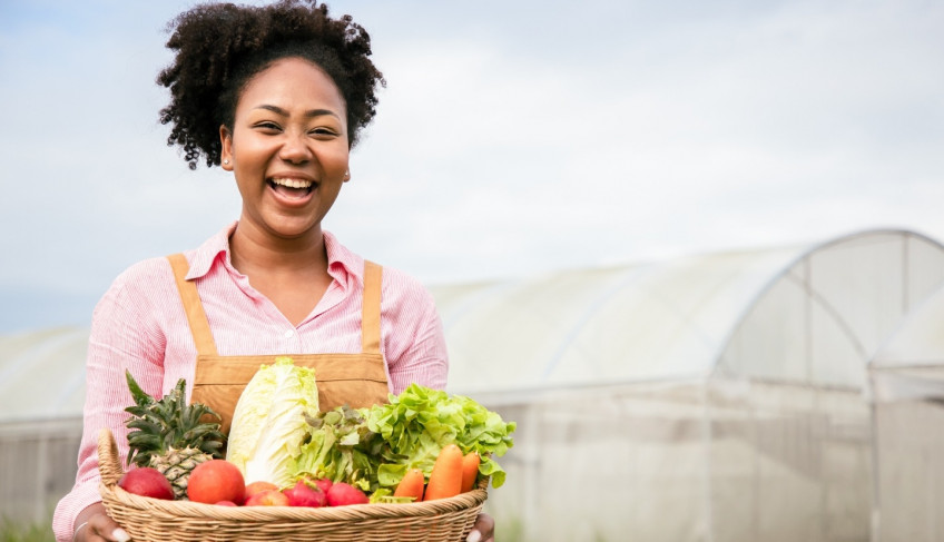 ASN Alagoas - Agência Sebrae de Notícias
