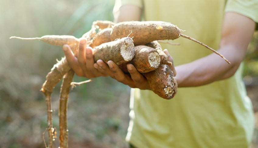 ASN Alagoas - Agência Sebrae de Notícias