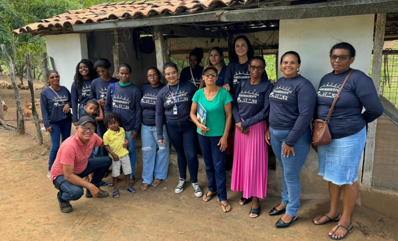 ASN Alagoas - Agência Sebrae de Notícias