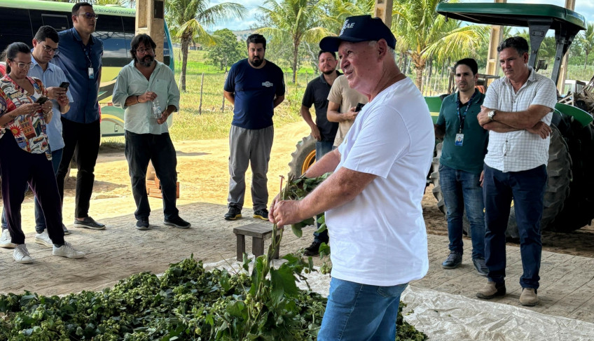ASN Alagoas - Agência Sebrae de Notícias