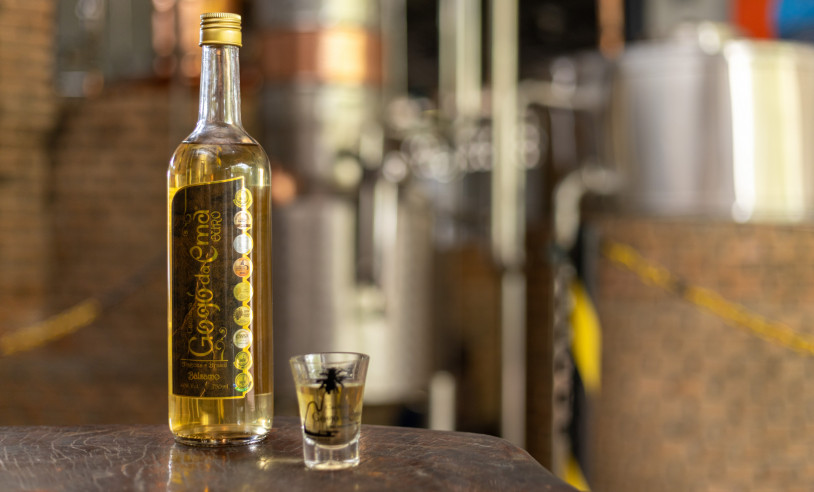 ASN Alagoas - Agência Sebrae de Notícias