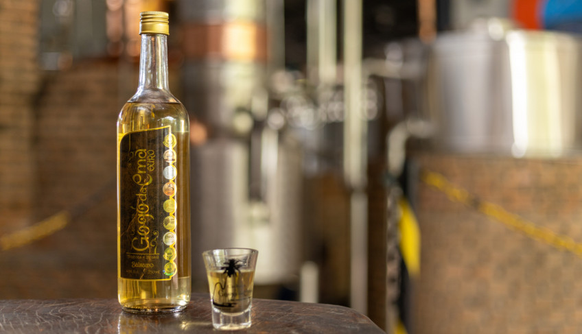 ASN Alagoas - Agência Sebrae de Notícias