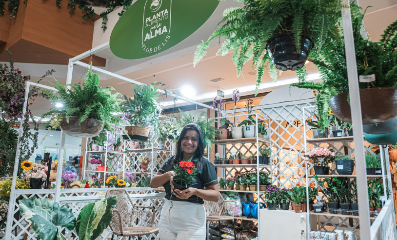 ASN Alagoas - Agência Sebrae de Notícias