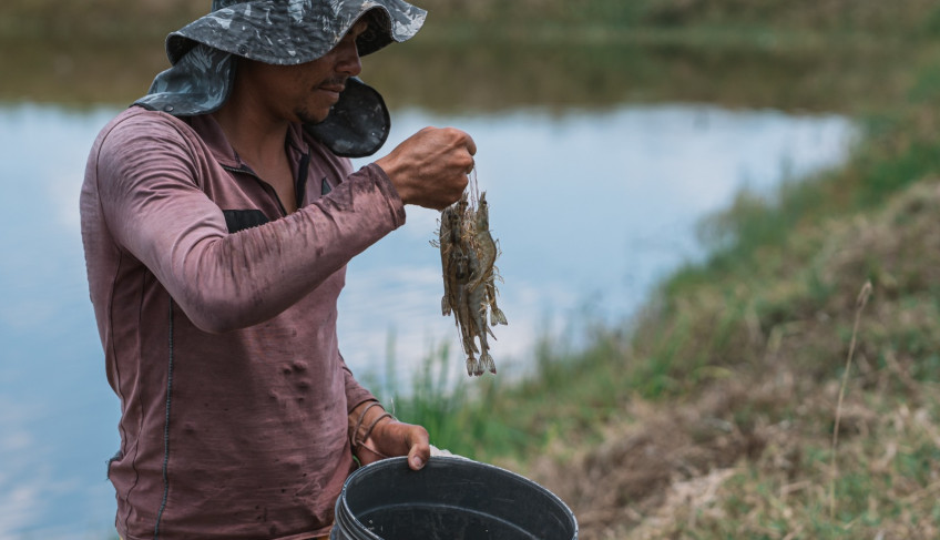 ASN Alagoas - Agência Sebrae de Notícias