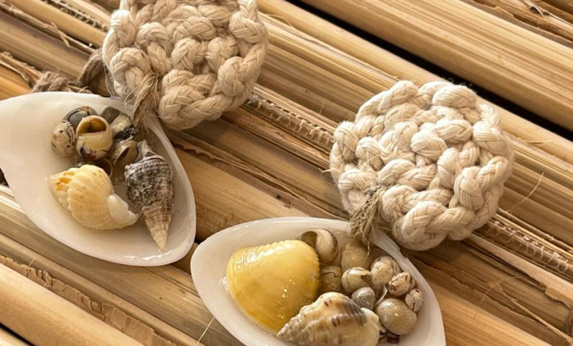 ASN Alagoas - Agência Sebrae de Notícias