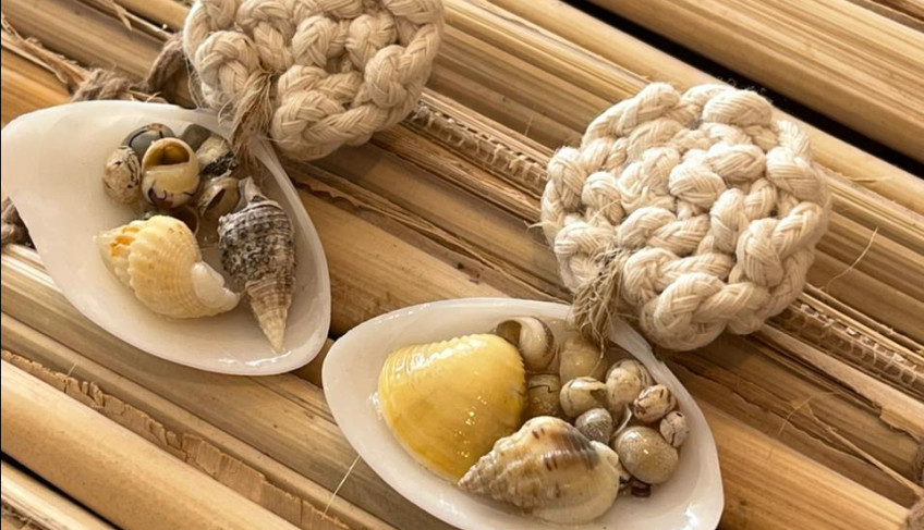 ASN Alagoas - Agência Sebrae de Notícias