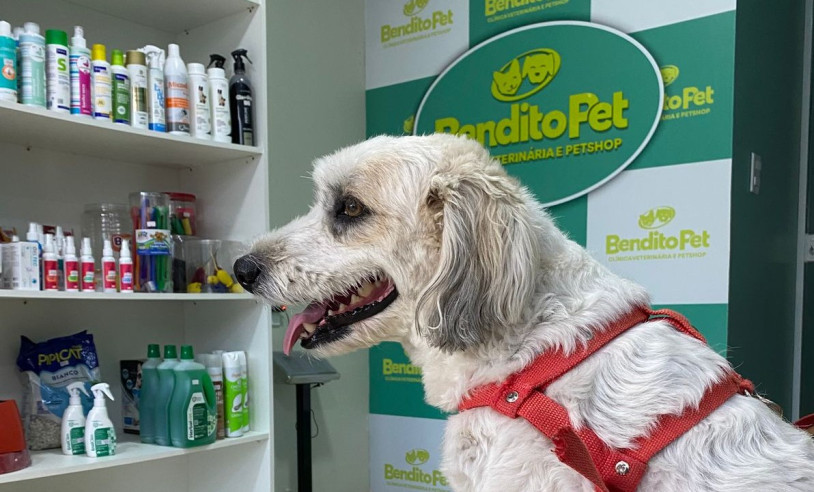 ASN Alagoas - Agência Sebrae de Notícias