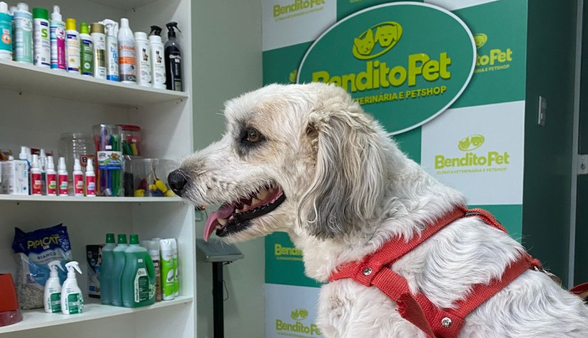 ASN Alagoas - Agência Sebrae de Notícias