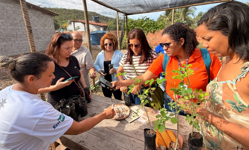 ASN Alagoas - Agência Sebrae de Notícias