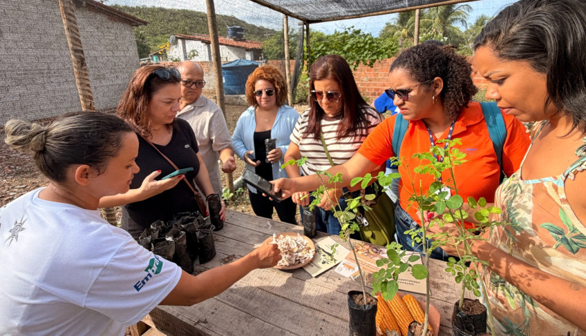 ASN Alagoas - Agência Sebrae de Notícias