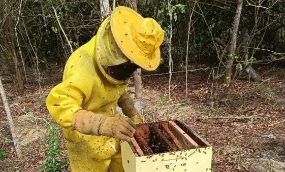 ASN Alagoas - Agência Sebrae de Notícias