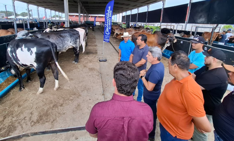 ASN Alagoas - Agência Sebrae de Notícias