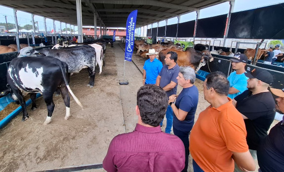 ASN Alagoas - Agência Sebrae de Notícias