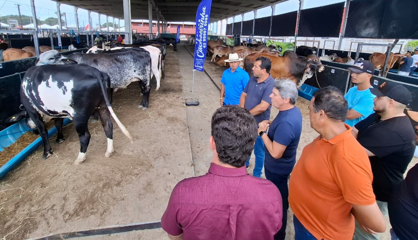 ASN Alagoas - Agência Sebrae de Notícias